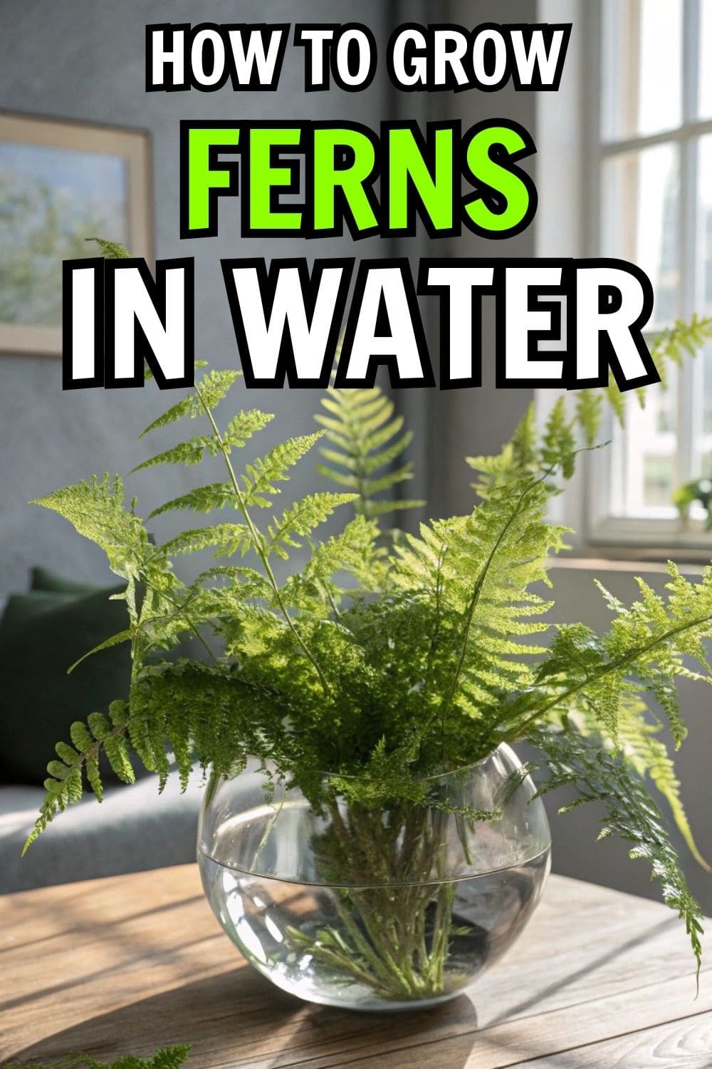A Simple Guide to Growing Ferns in Water