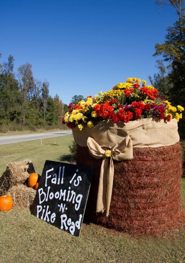 Giant Hay Bale Flower Display