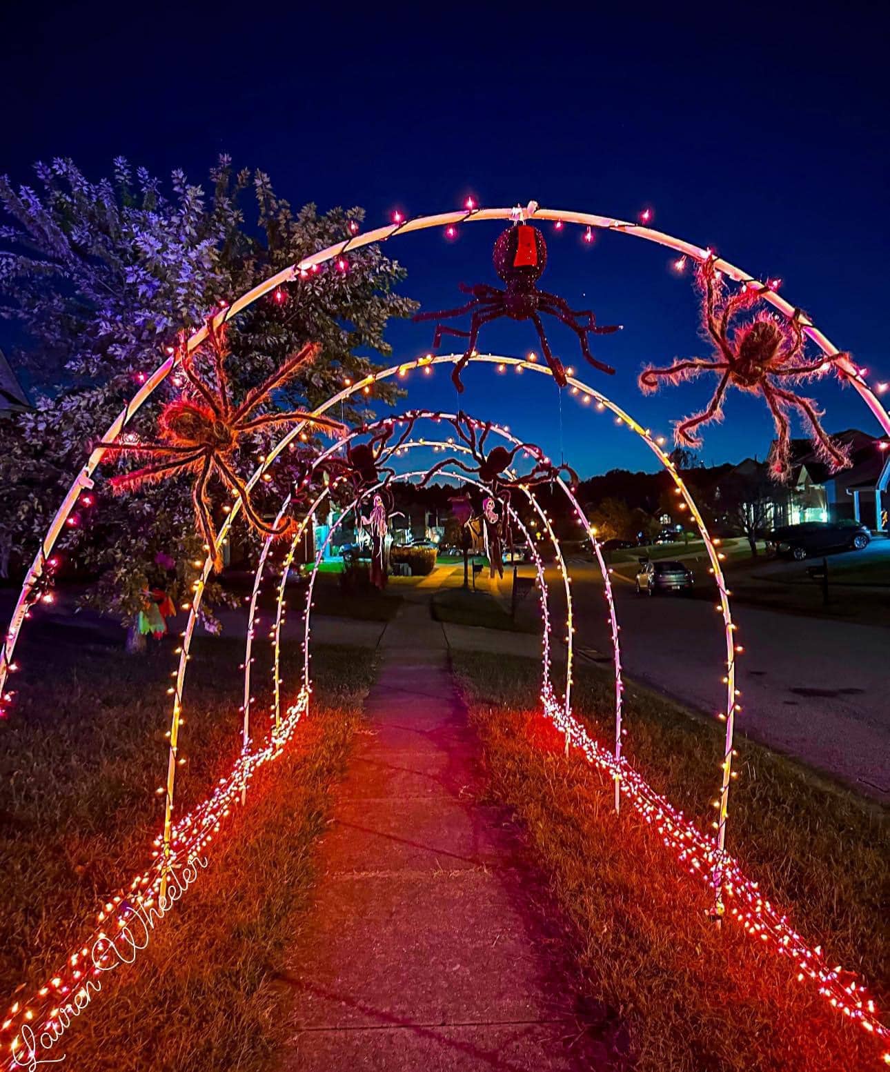 Glow-in-the-Dark Spider Tunnel