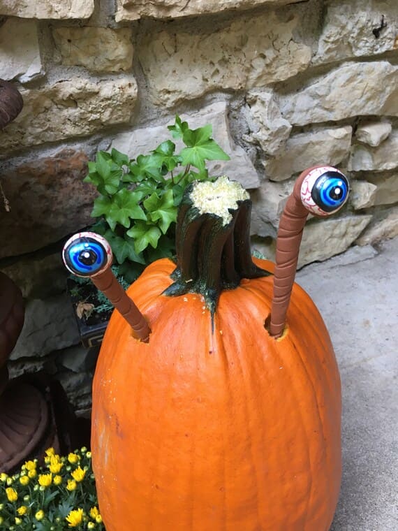 Googly-Eyed Pumpkin Snail