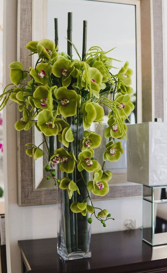 8 Best Orchid Colors and Their Meanings