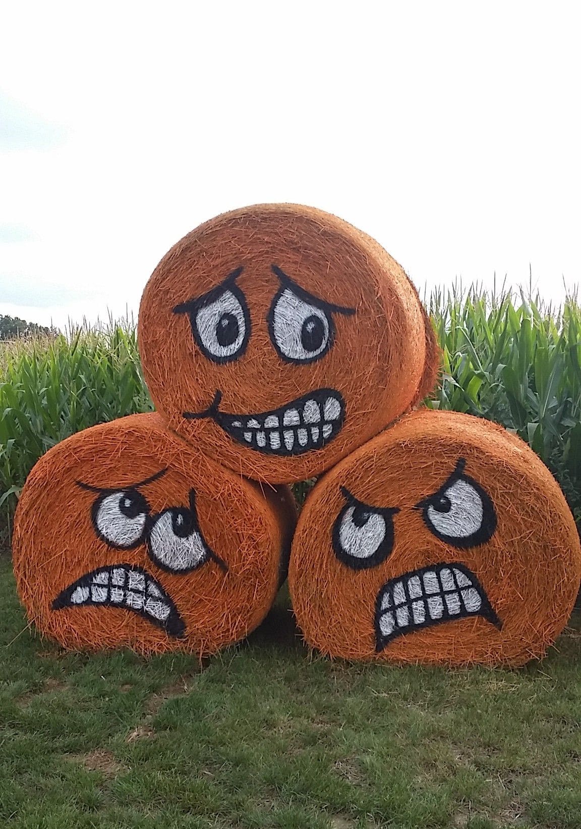 Grumpy Pumpkin Hay Bales