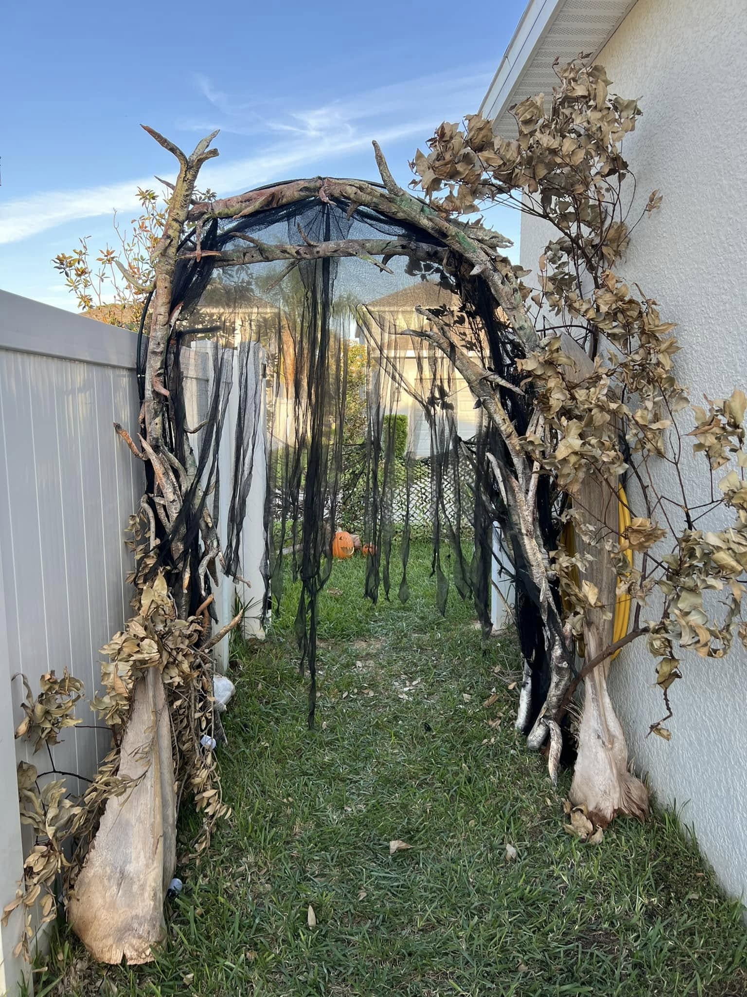Haunted Forest Tunnel