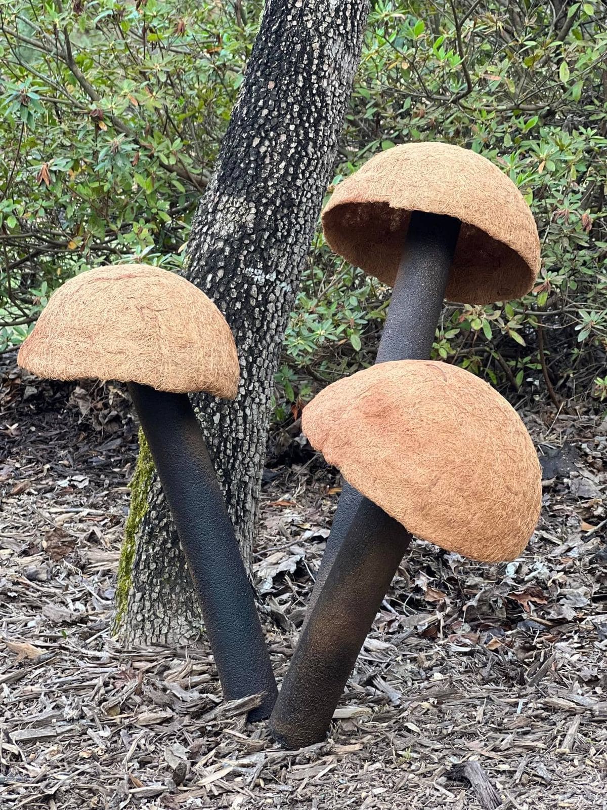 Large Outdoor Coco Fiber Mushrooms