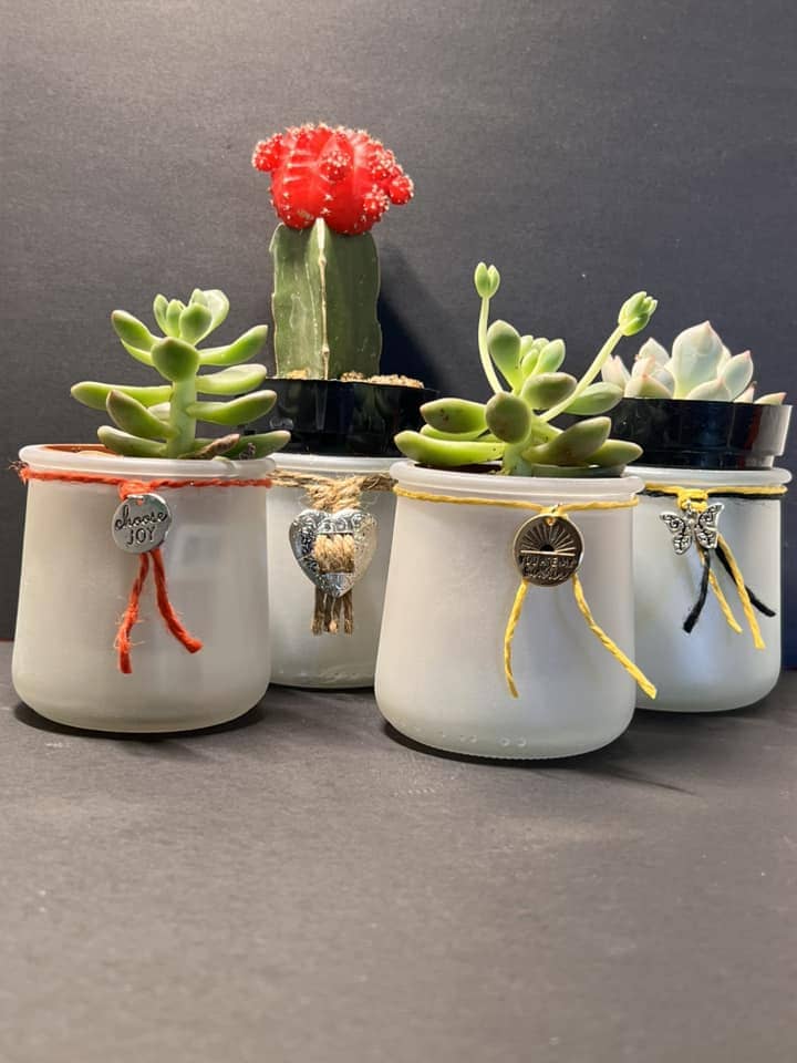 Mini Succulent Yogurt Jar Planters