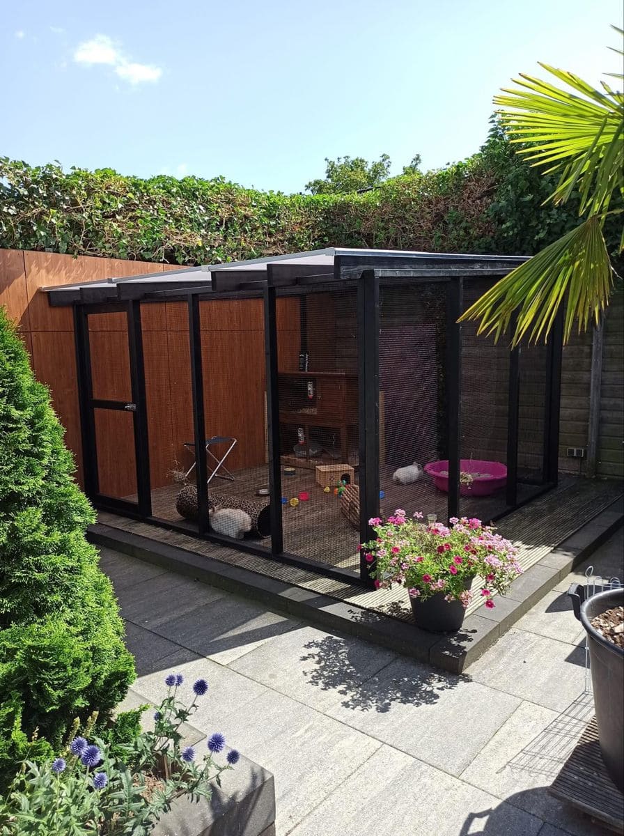 7 DIY Cheap Dog Run Ideas to Build in Your Backyard