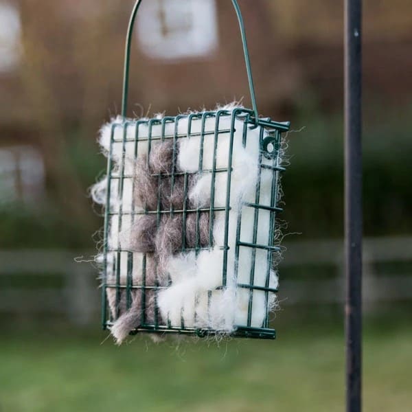 Many Use Dog Hair to Build Bird Nests. Here's Guide: