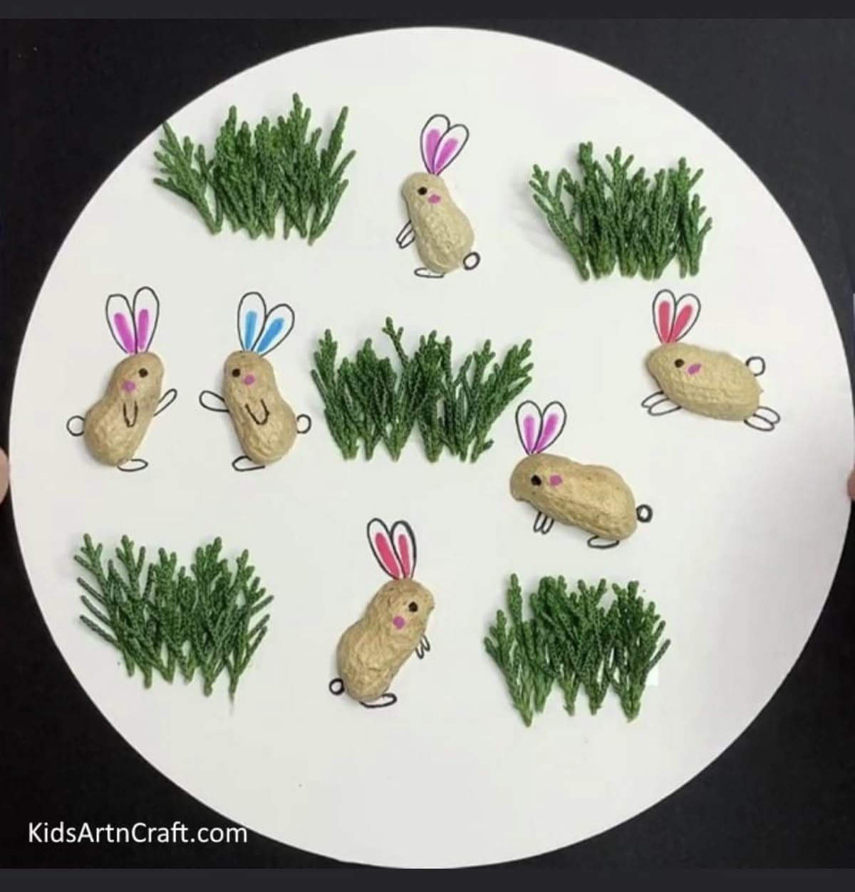 Peanut Shell Bunny Meadow