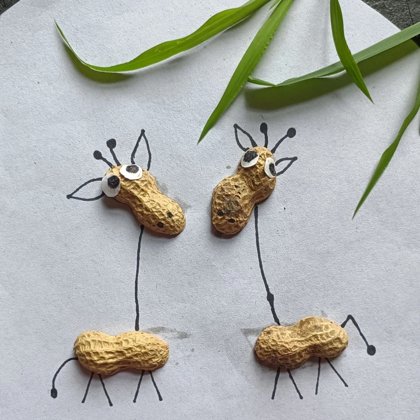 Peanut Shell Giraffes