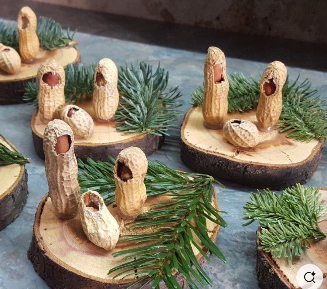 Peanut Shell Nativity Scene