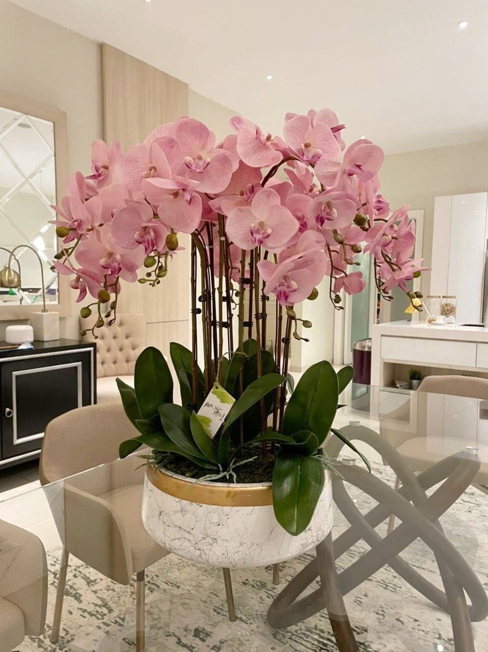 8 Best Orchid Colors and Their Meanings