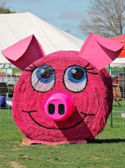 Pink Pig Hay Bale Display