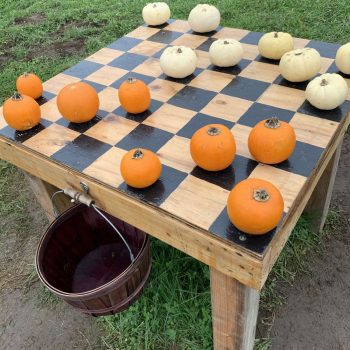 Bring Autumn Home With 20 DIY Garden Decor Ideas