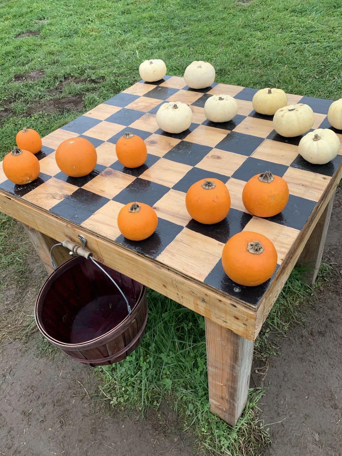 Pumpkin Patch Checkerboard