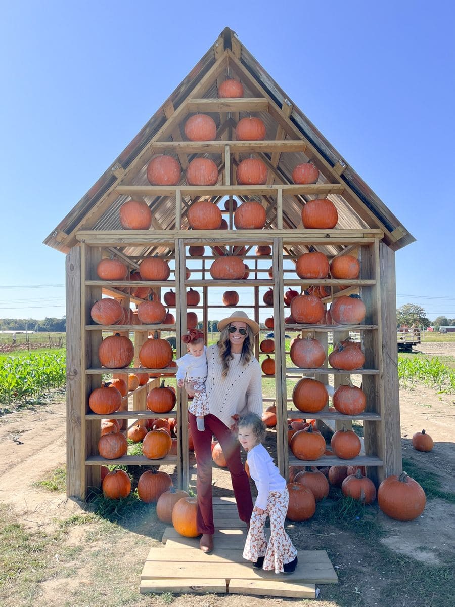 Pumpkin Wall Barn Display
