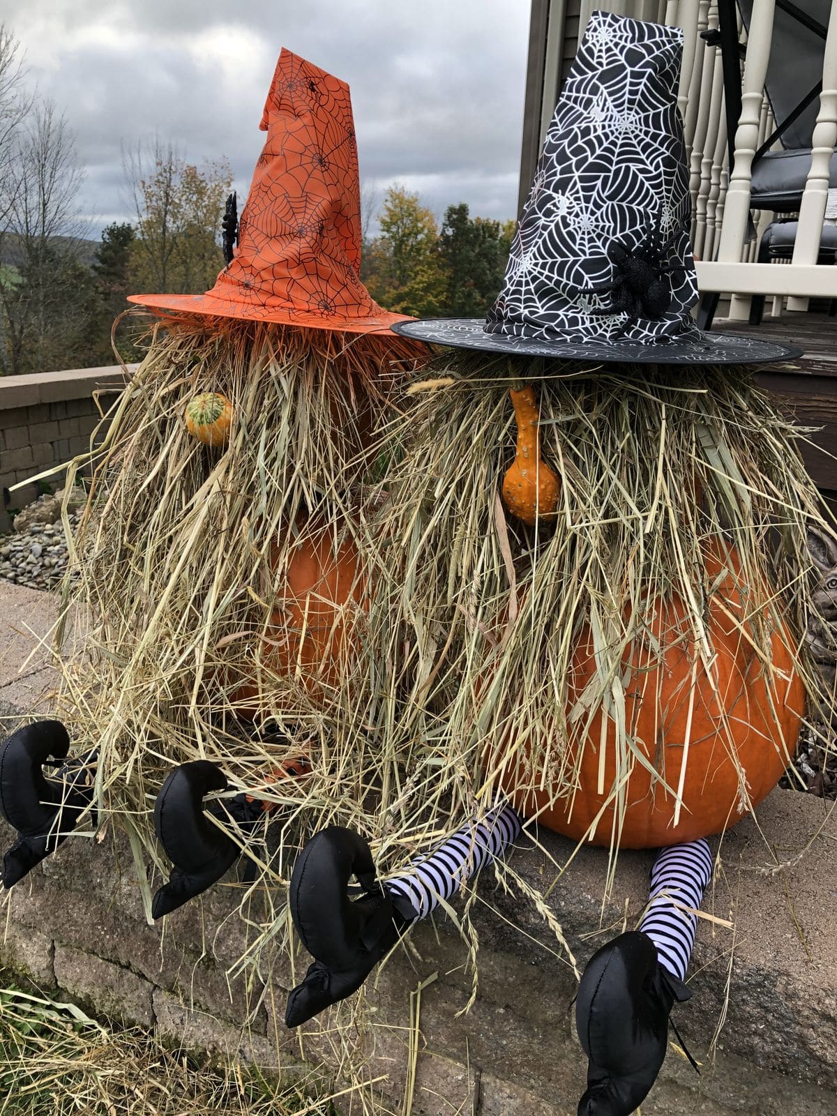 Pumpkin Witch Duo
