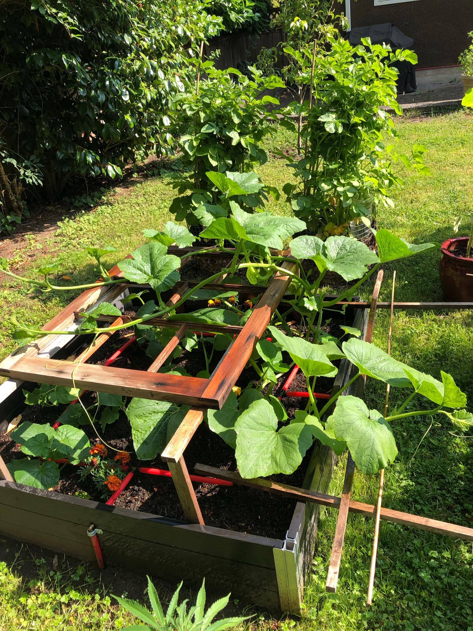 Raised Bed Frame Watermelon Trellis