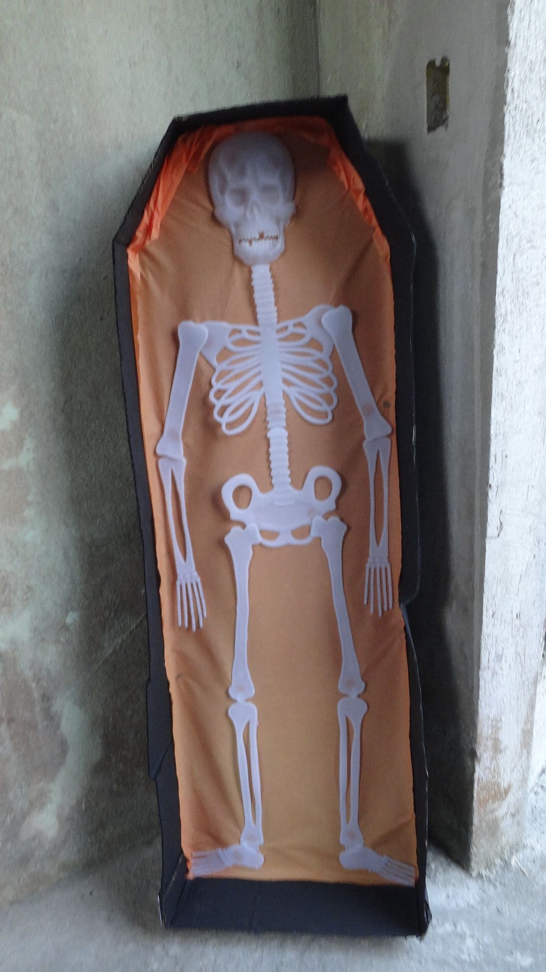 Simple Skeleton Coffin Standee