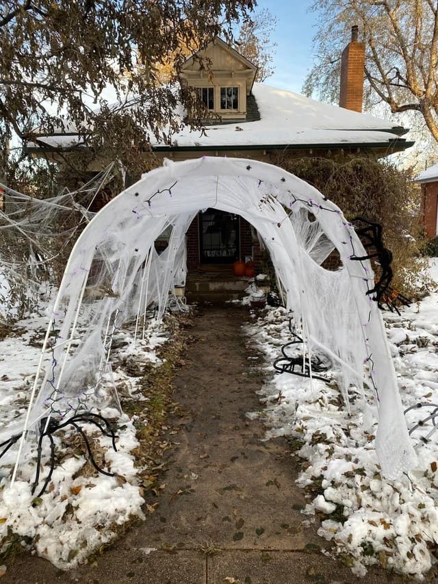 Snowy Spider Tunnel Entrance
