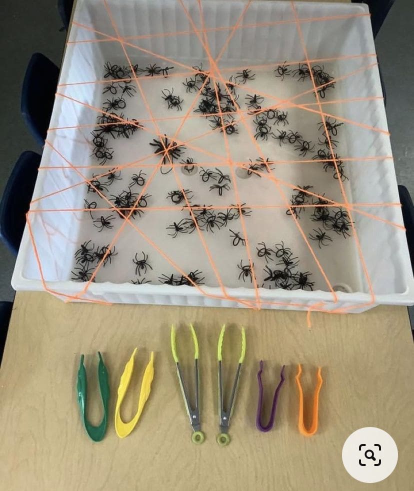 Spider Web Rescue Game