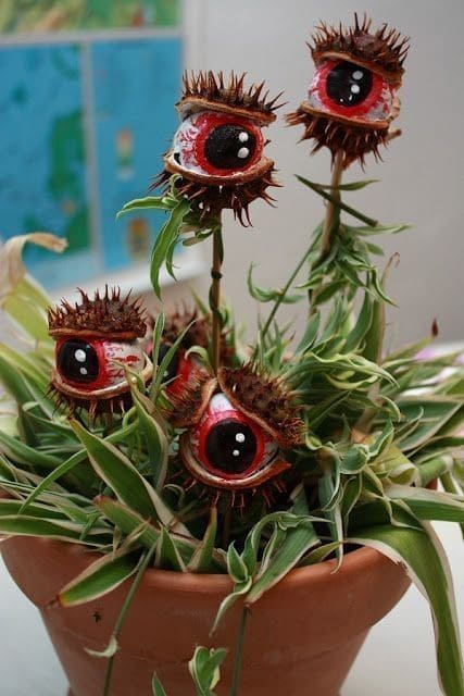 Spiky Eyeball Plant