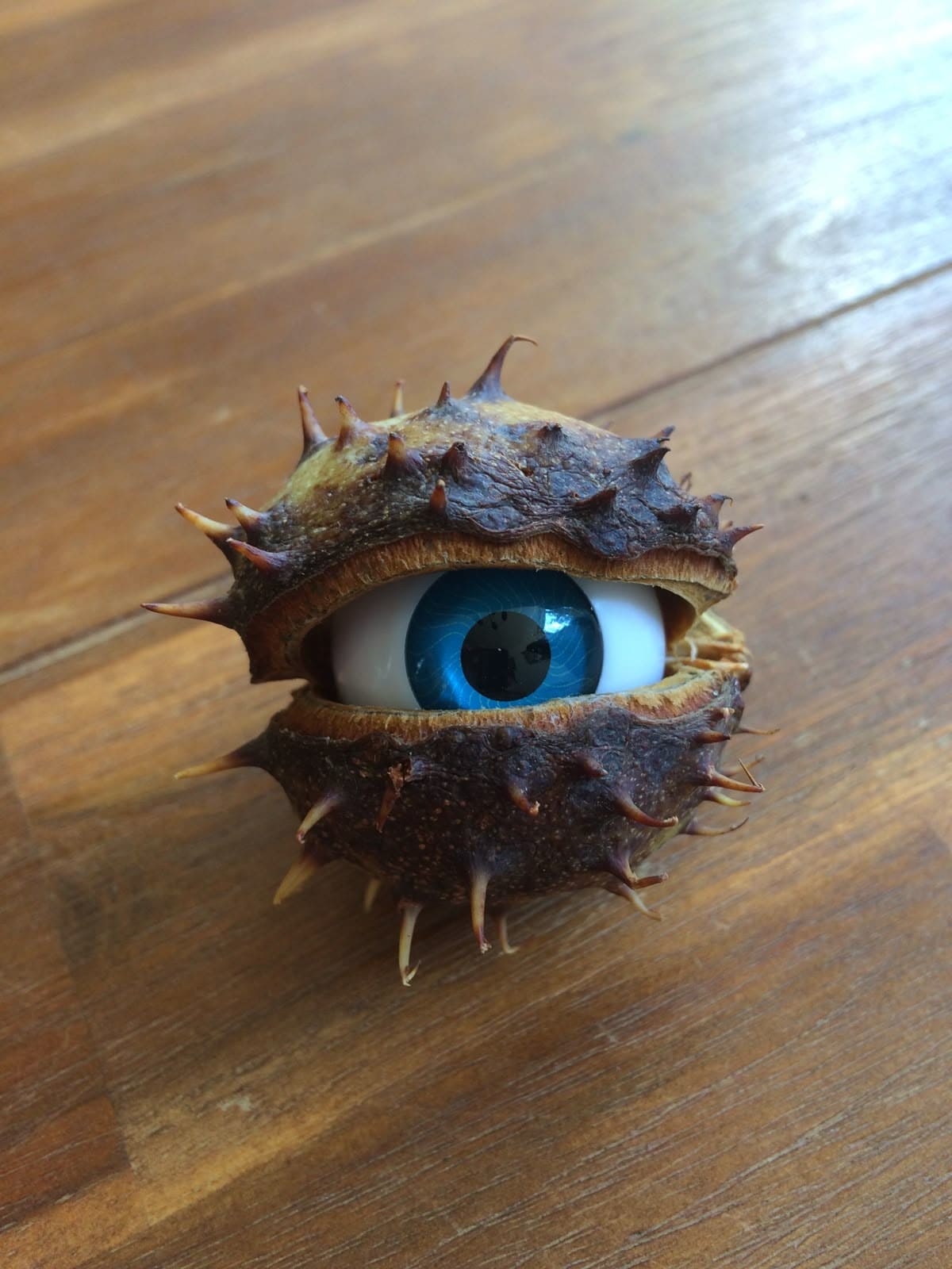 Spiky Eyeball Seed Pod