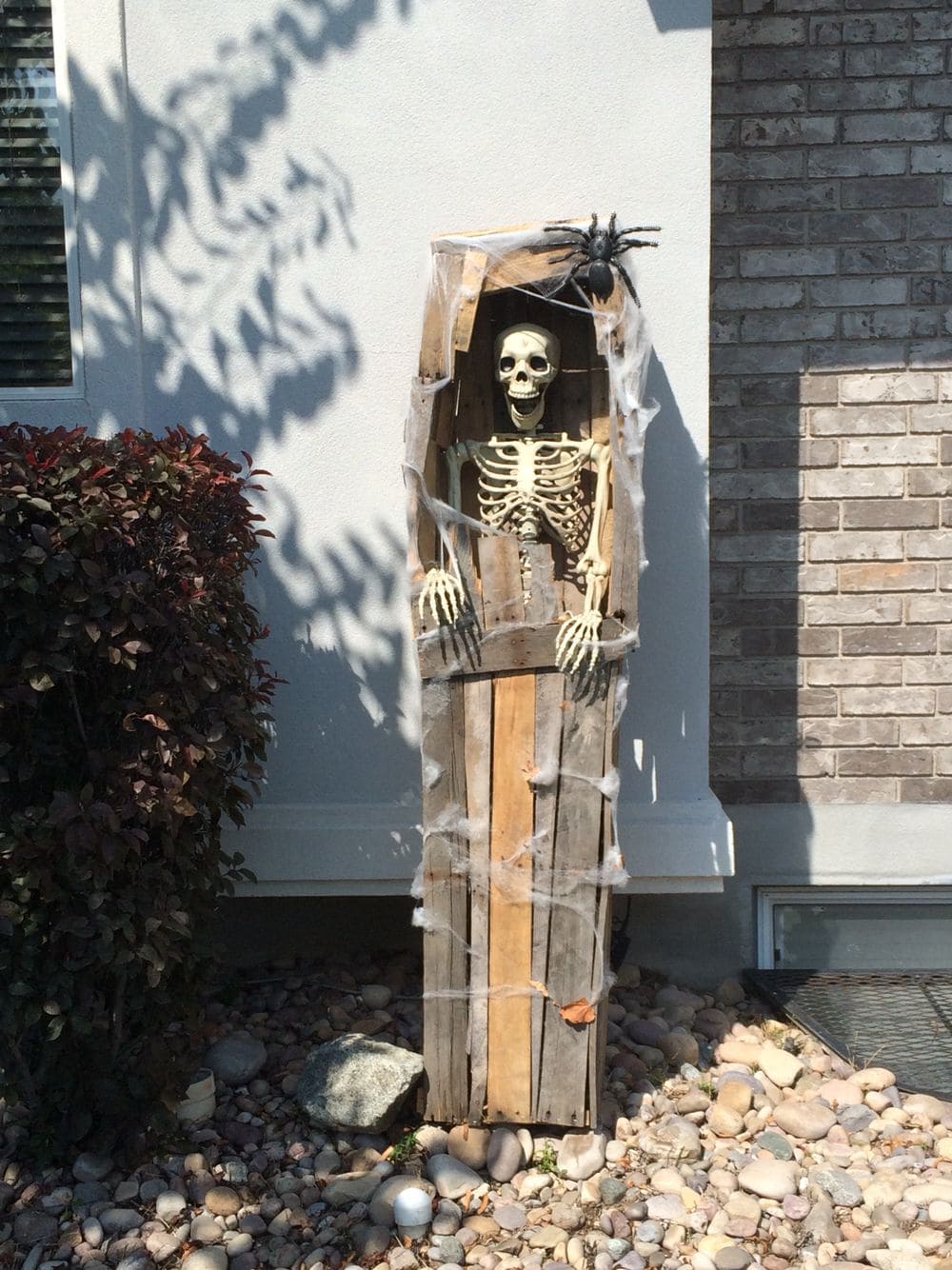 Standing Skeleton Coffin