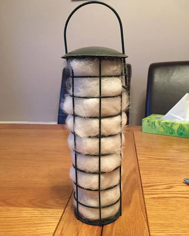 Many Use Dog Hair to Build Bird Nests. Here's Guide: