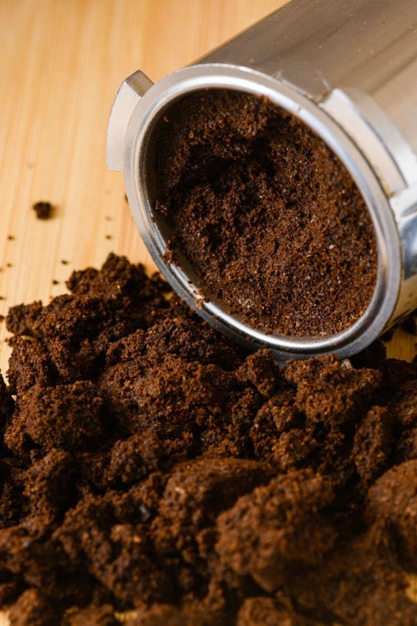 Give Your Coleus Coffee and Watch It Grow Like Crazy