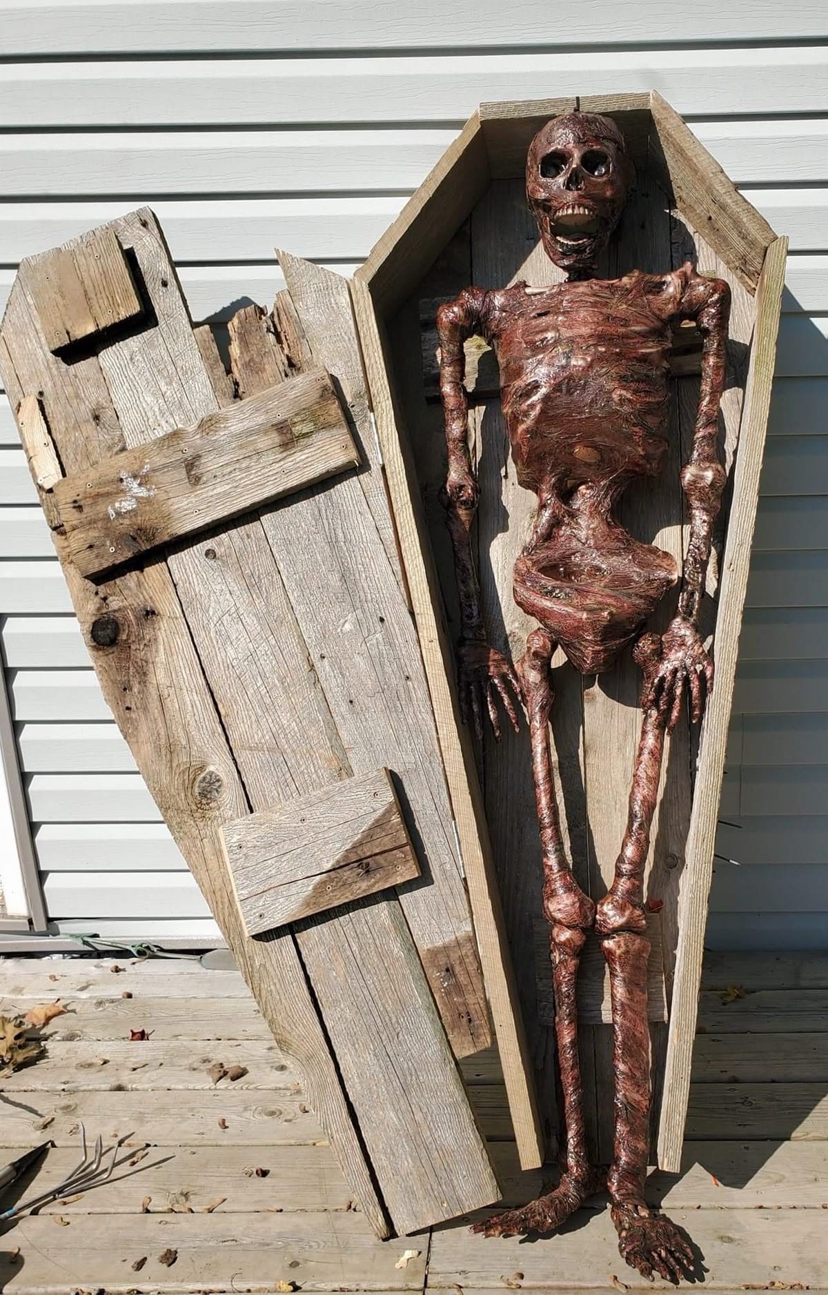 Weathered Wooden Coffin with Mummified Skeleton