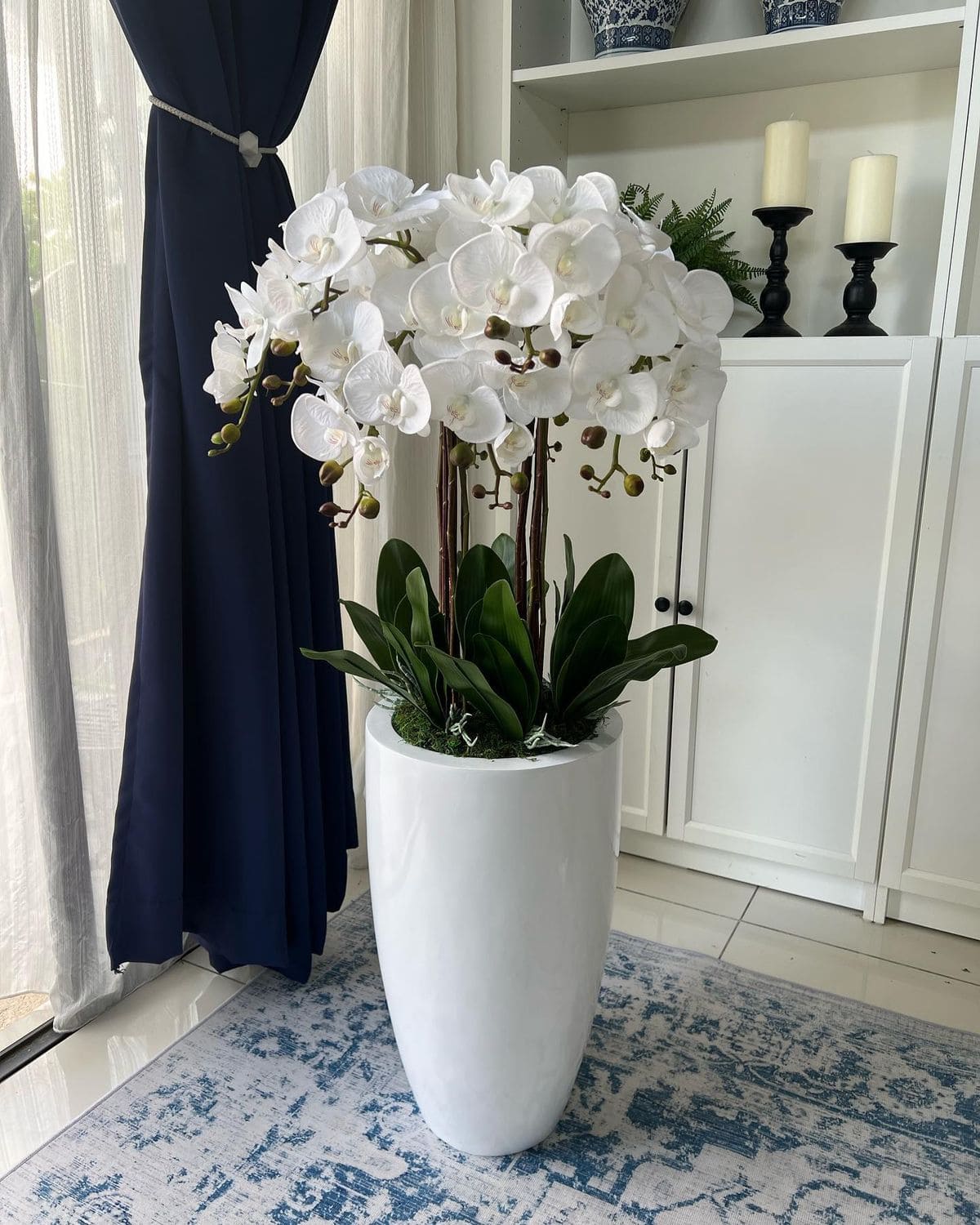 8 Best Orchid Colors and Their Meanings
