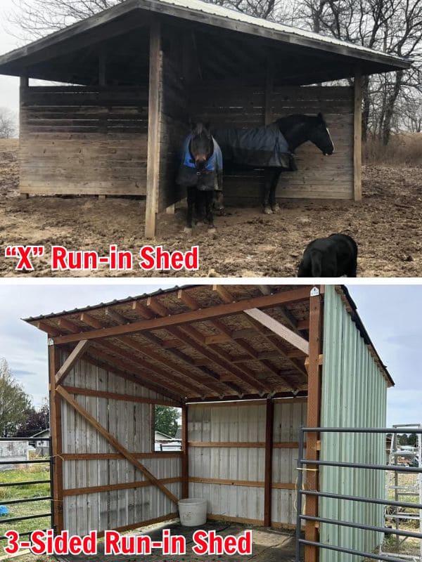 Why the Canadian “X” Run-In Shed is a Smarter Shelter for Livestock