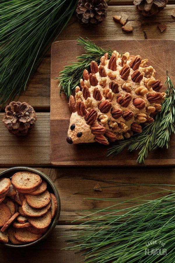 Adorable Hedgehog Cheese Ball