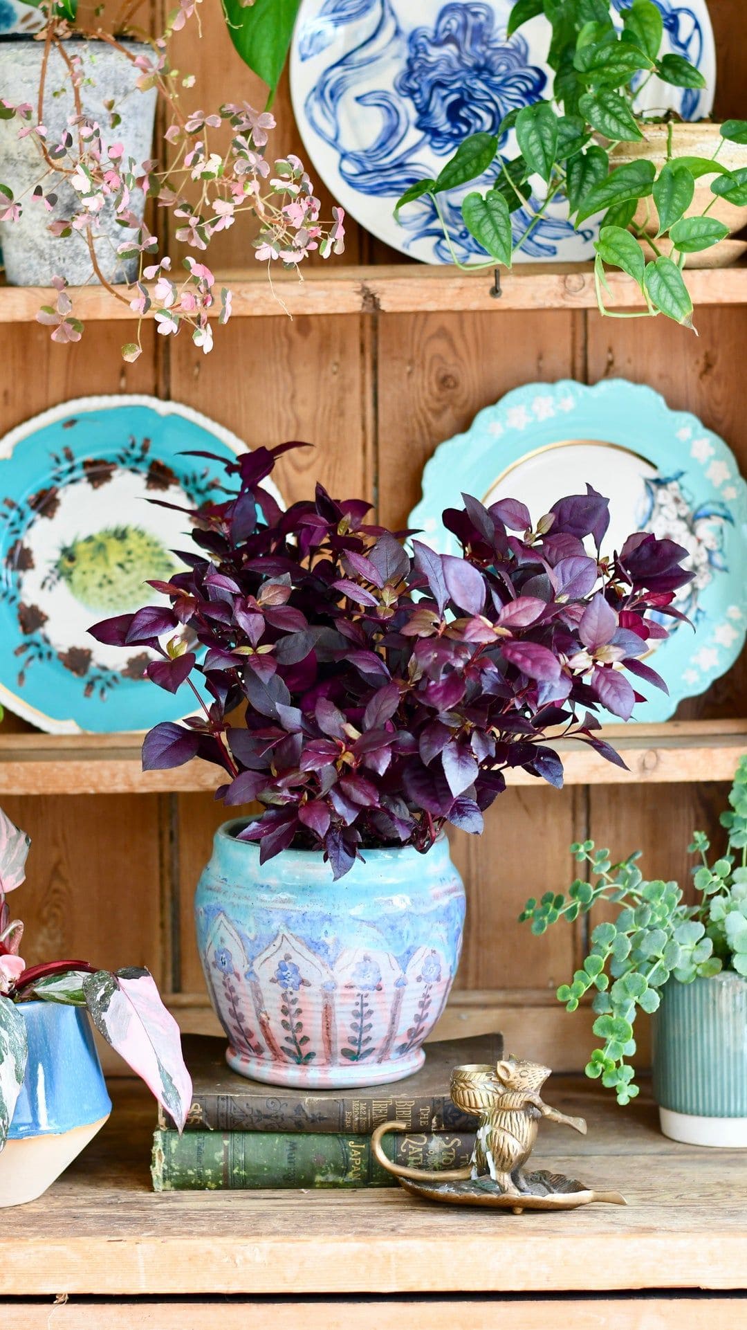 10 Stunning Plants With Purple Leaves for a Bold Garden