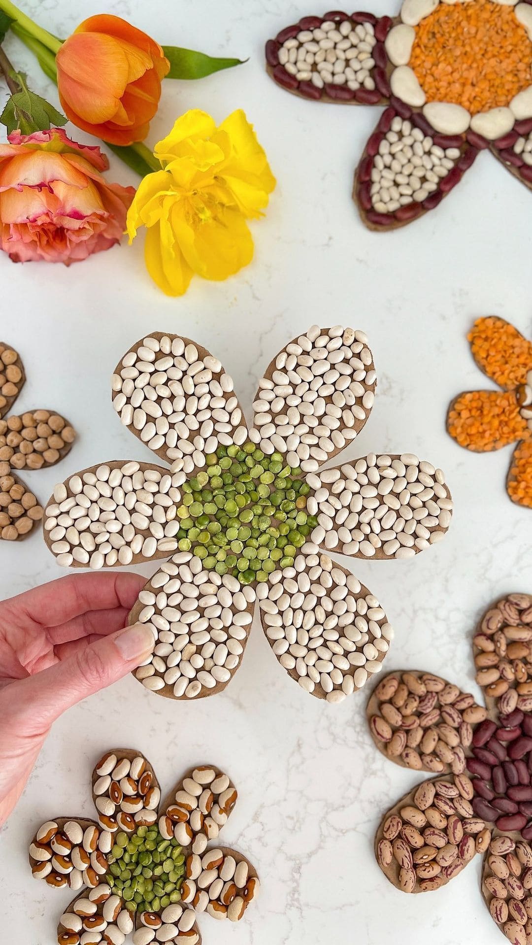 Bean Mosaic Spring Flower