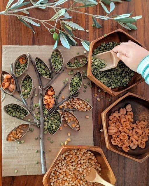 How to Make a Nature-Inspired Tree Using Beans and Cardboard