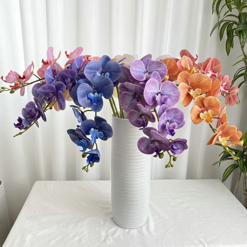 4 Stunning Plants That Look Like Butterflies