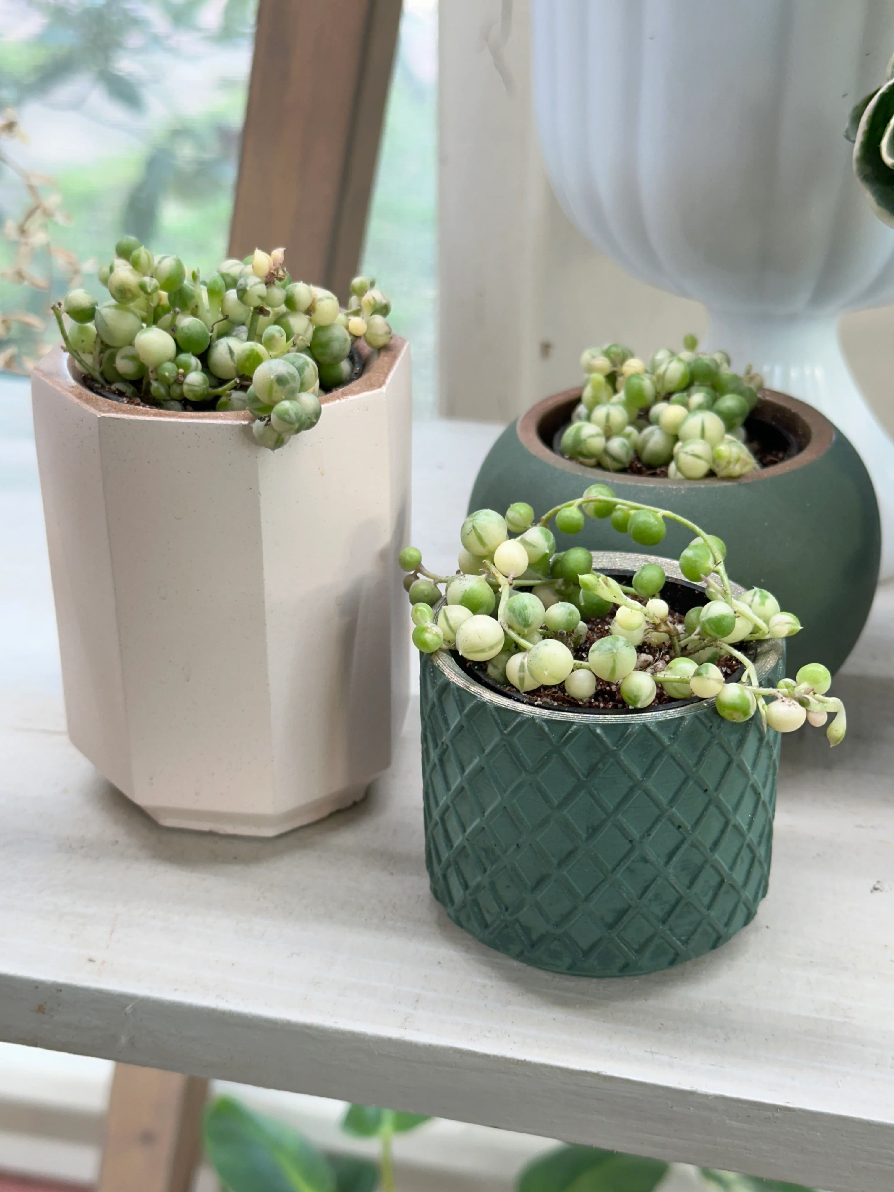 Stop Putting Saucers Under Your Planters. Here’s Why