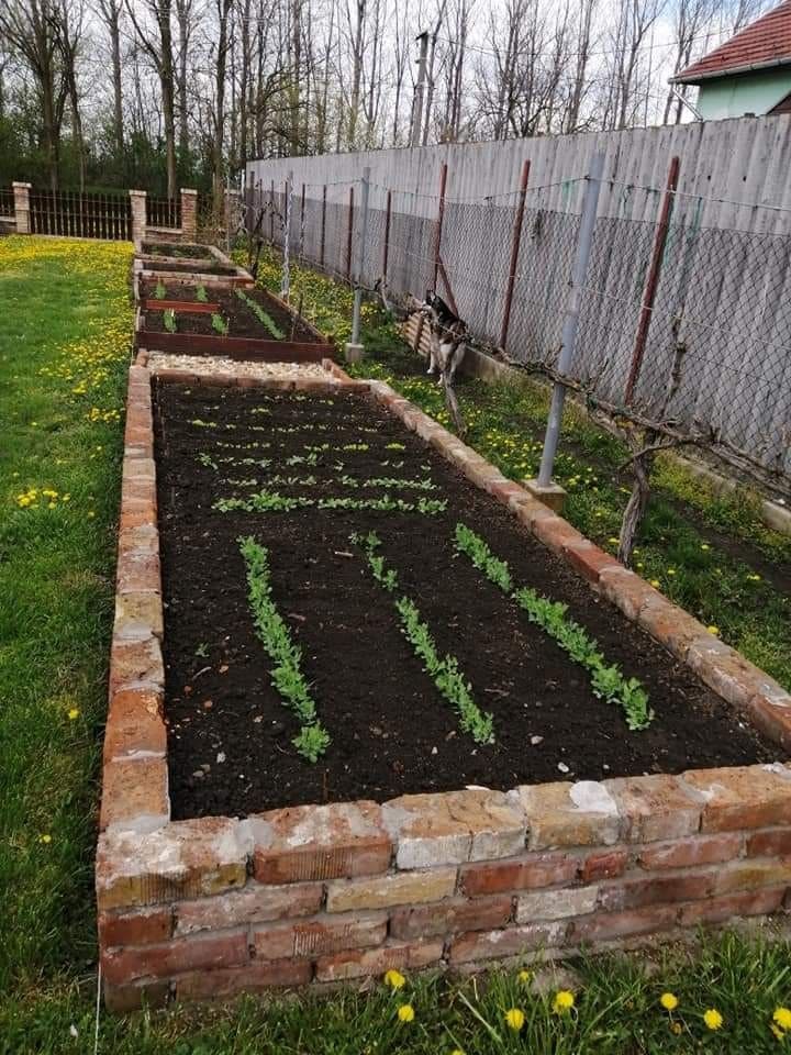 Classic Brick Raised Beds