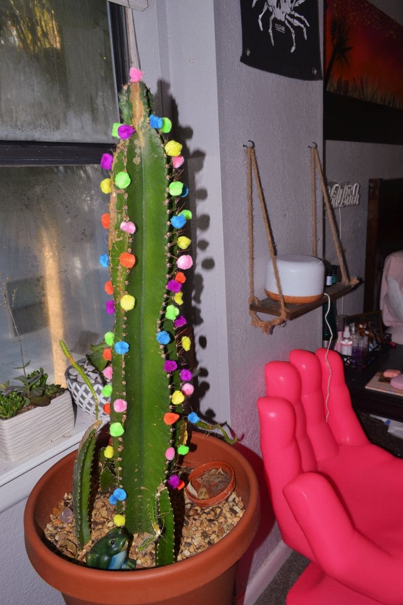 Colorful Cactus Christmas Fun