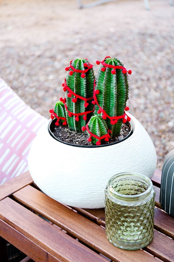 Festive Pom-Pom Cactus Decor
