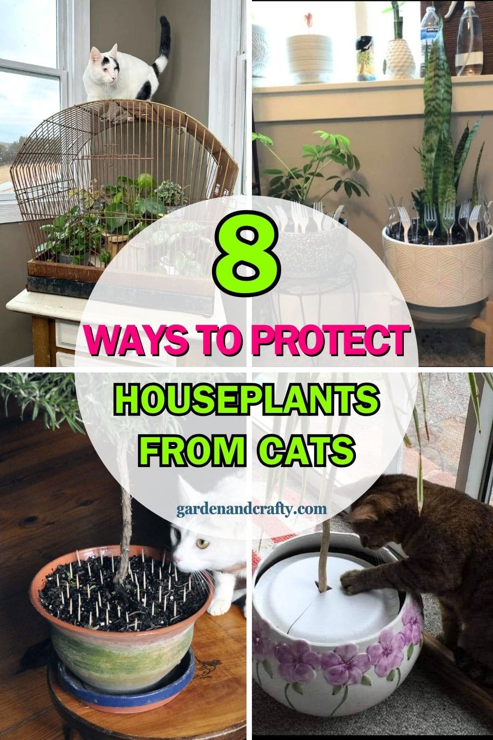 8 Smart Ways to Keep Cats Out of Your Houseplants