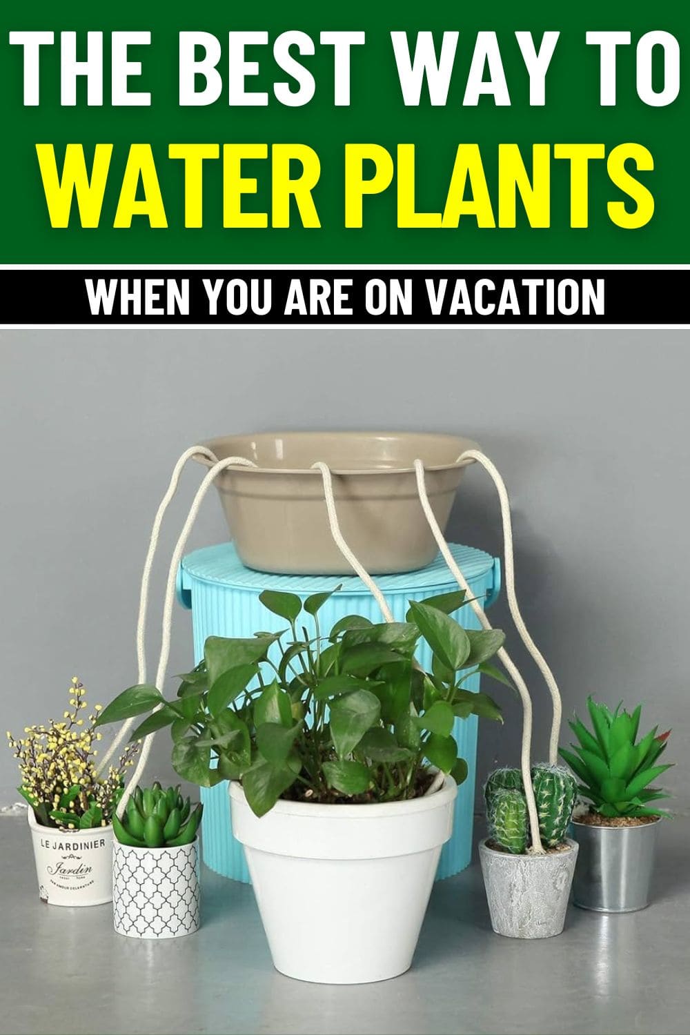 Here's the Best Way to Water Plants When on Vacation