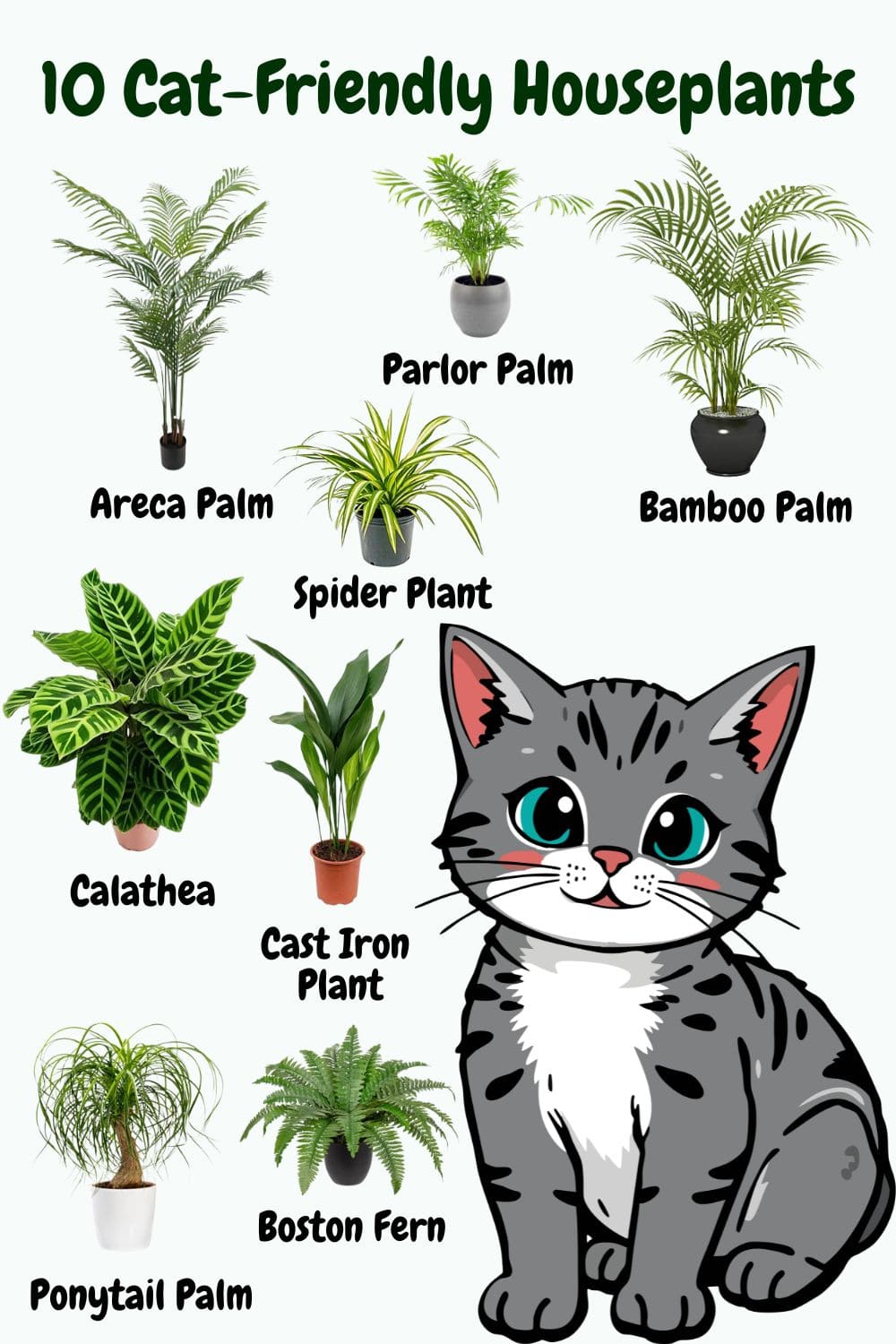10 Cat-Friendly Houseplants That Bring Greenery Without Worry