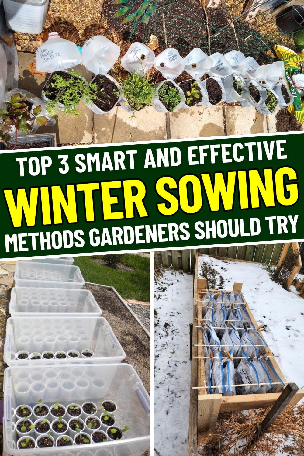 3 Smart Winter Sowing Methods Every Gardener Should Try