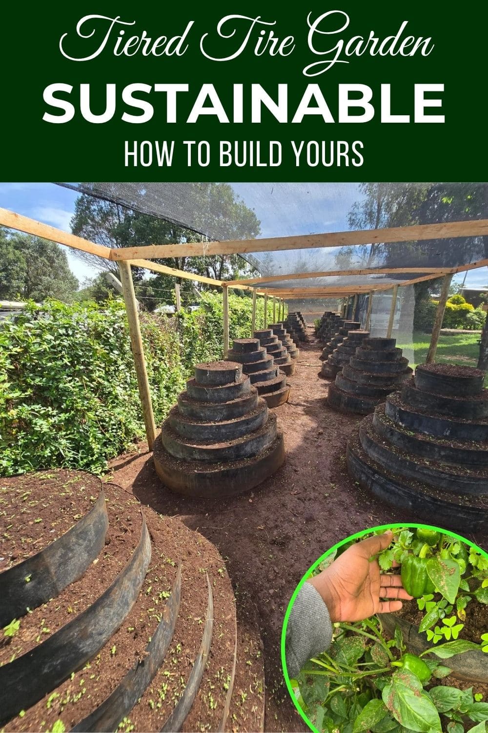 How to Build and Grow in Tiered Tire Gardens