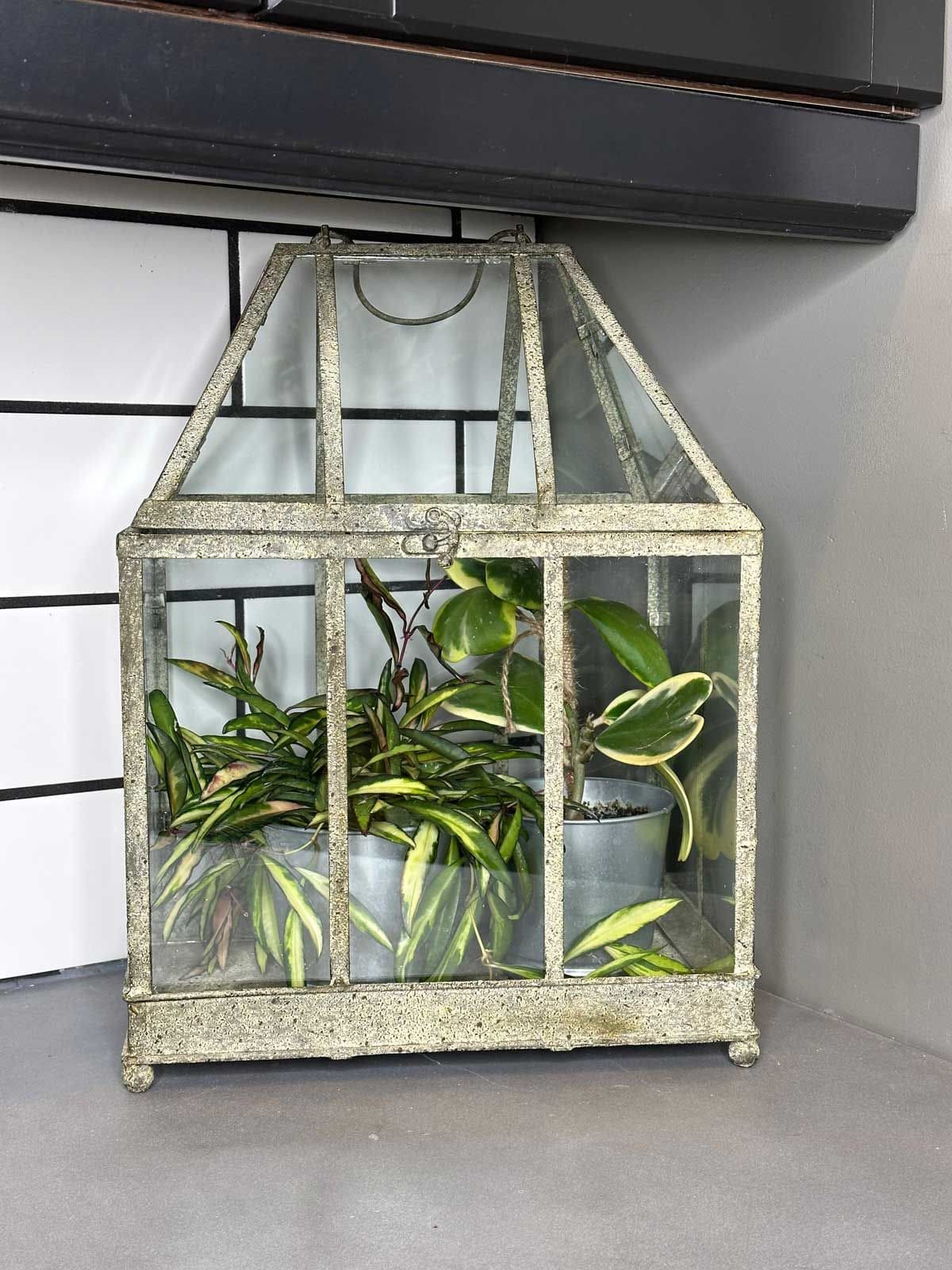 8 Smart Ways to Keep Cats Out of Your Houseplants