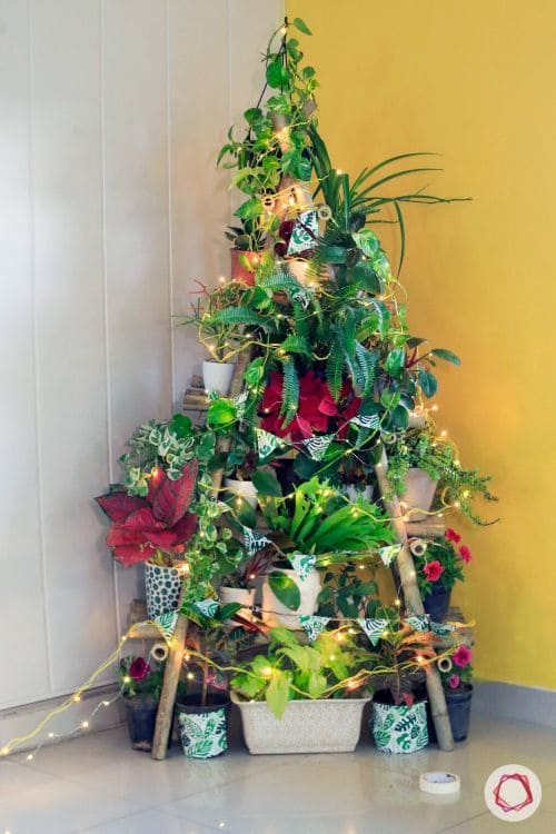 Houseplant Ladder Christmas Tree