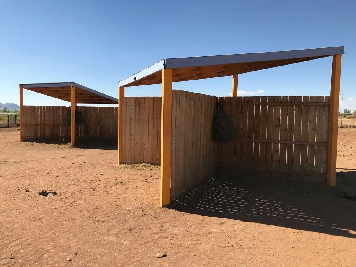 Why the Canadian “X” Run-In Shed is a Smarter Shelter for Livestock