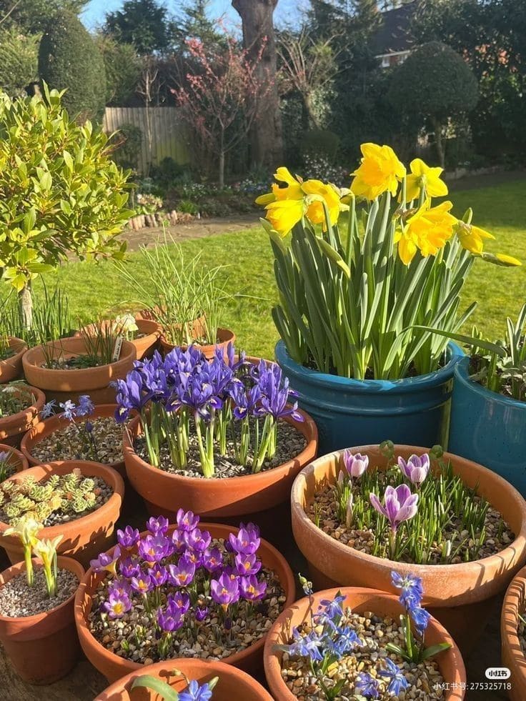 10 Best Bulbs You Can Plant in Fall